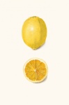Vintage owoców cytryny