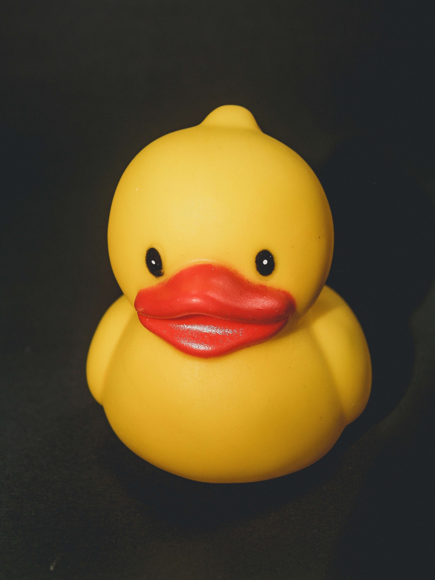 Bath Duck Toy