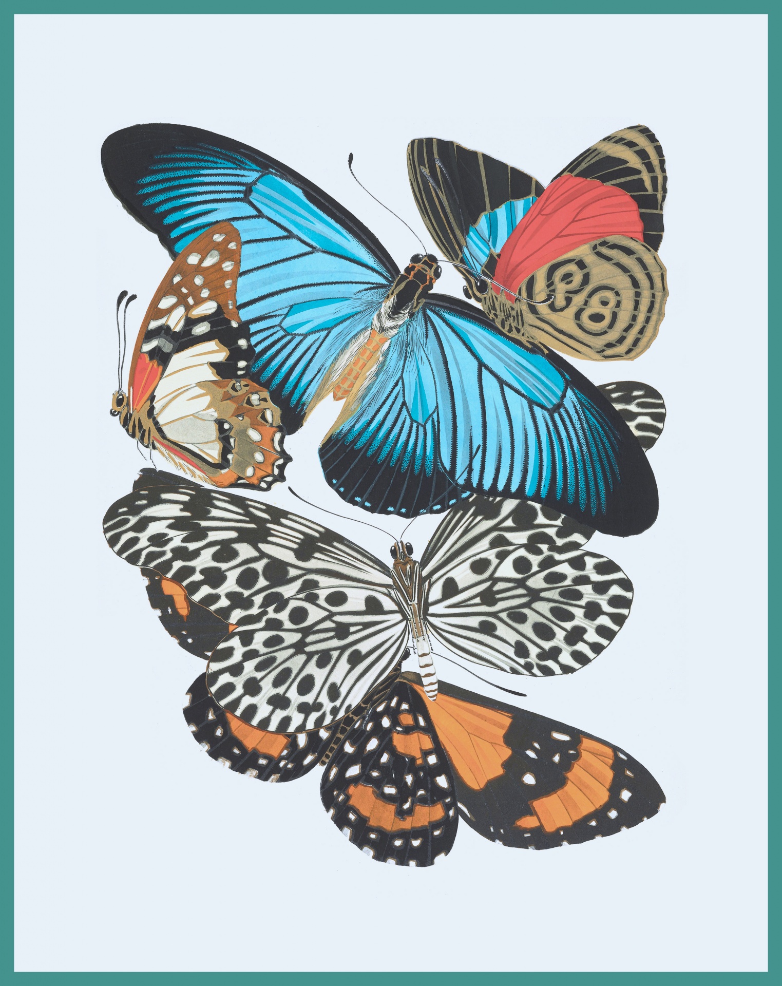 Stampa artistica di farfalle