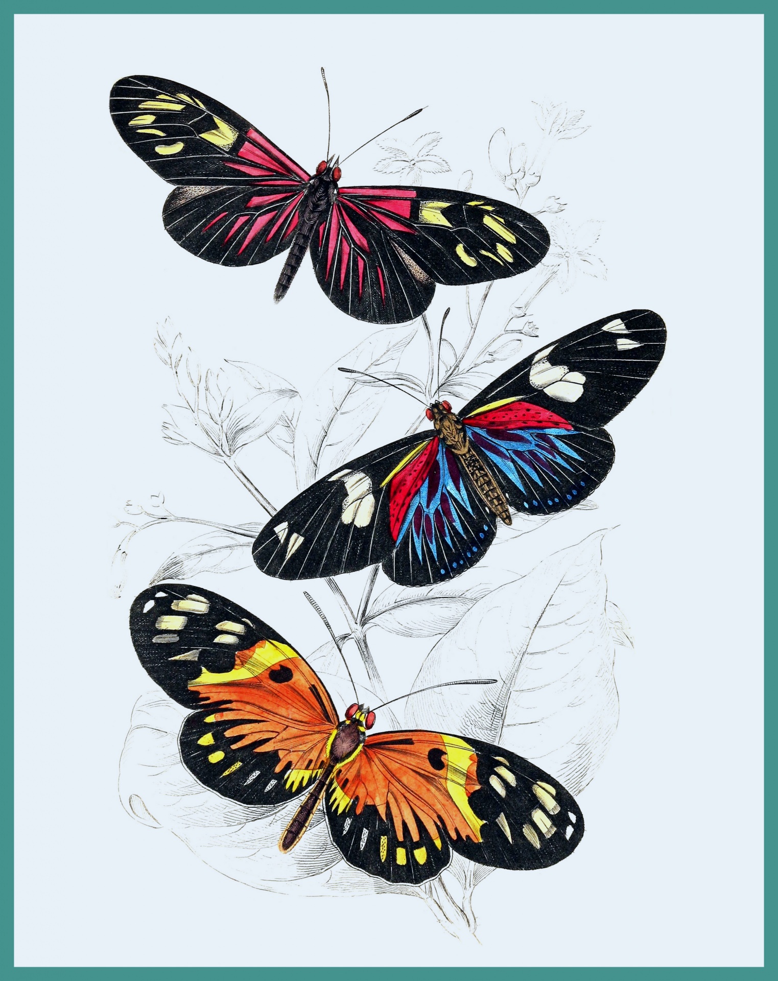 Stampa artistica di farfalle