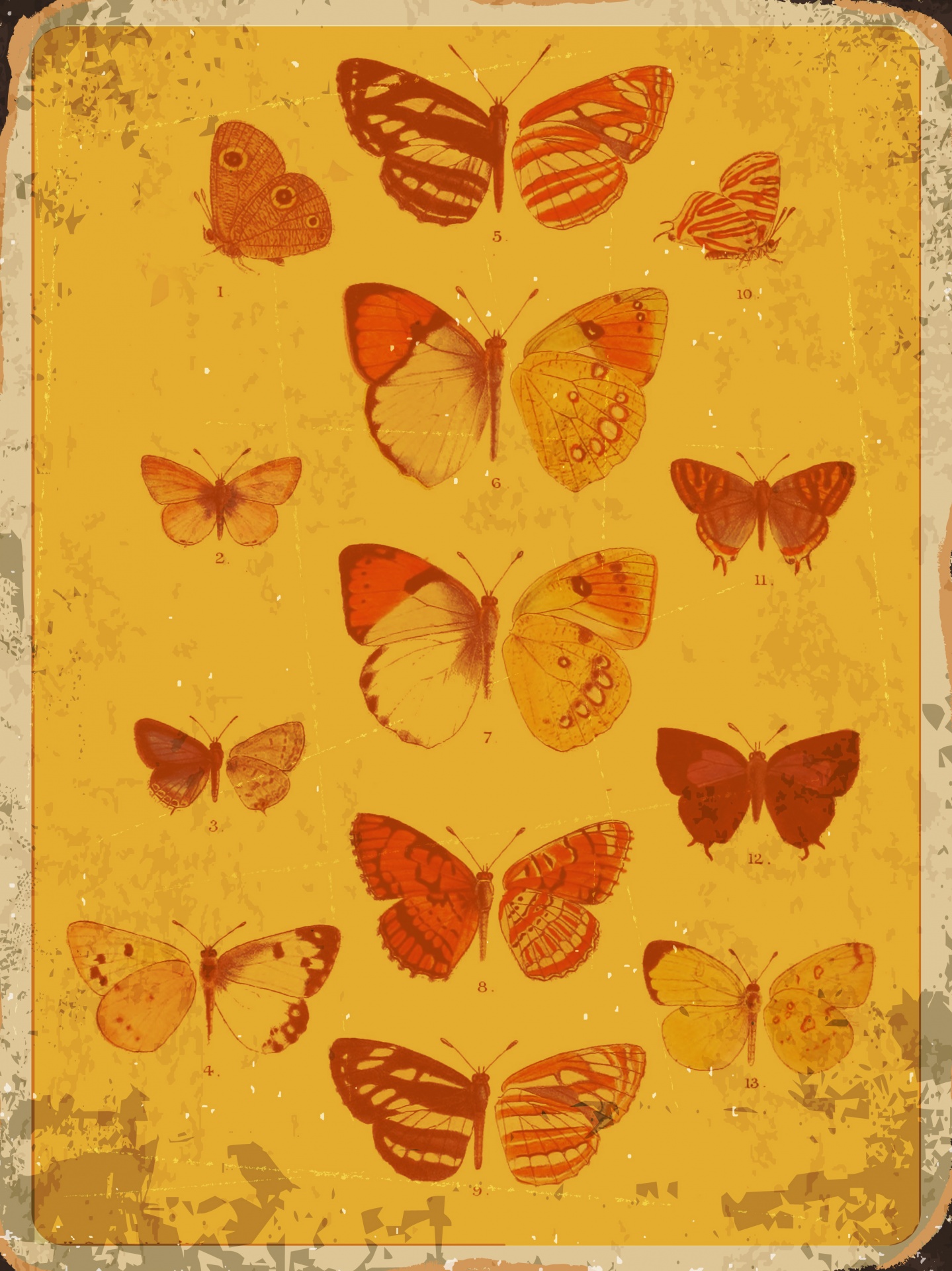 Butterflies Vintage Poster