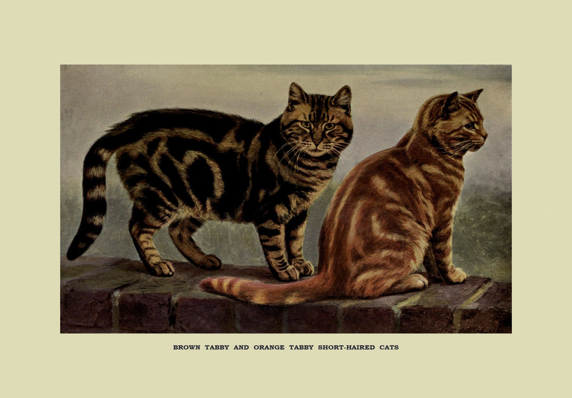 Gatos vintage pintura