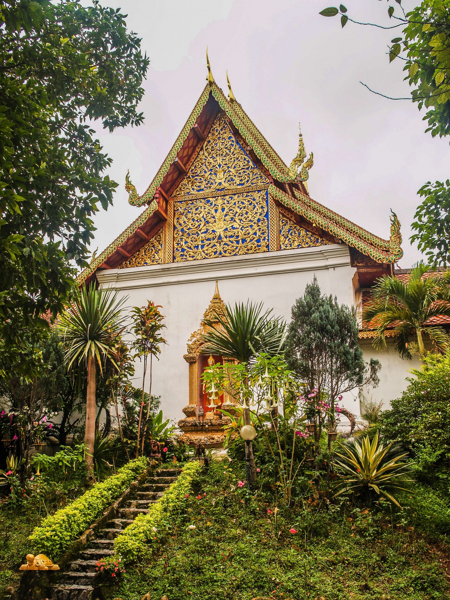 Gouden pagode in Wat Phra That