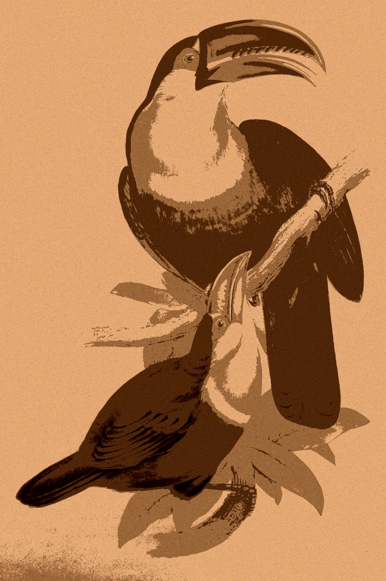 Woodcut 004 - BIRDS