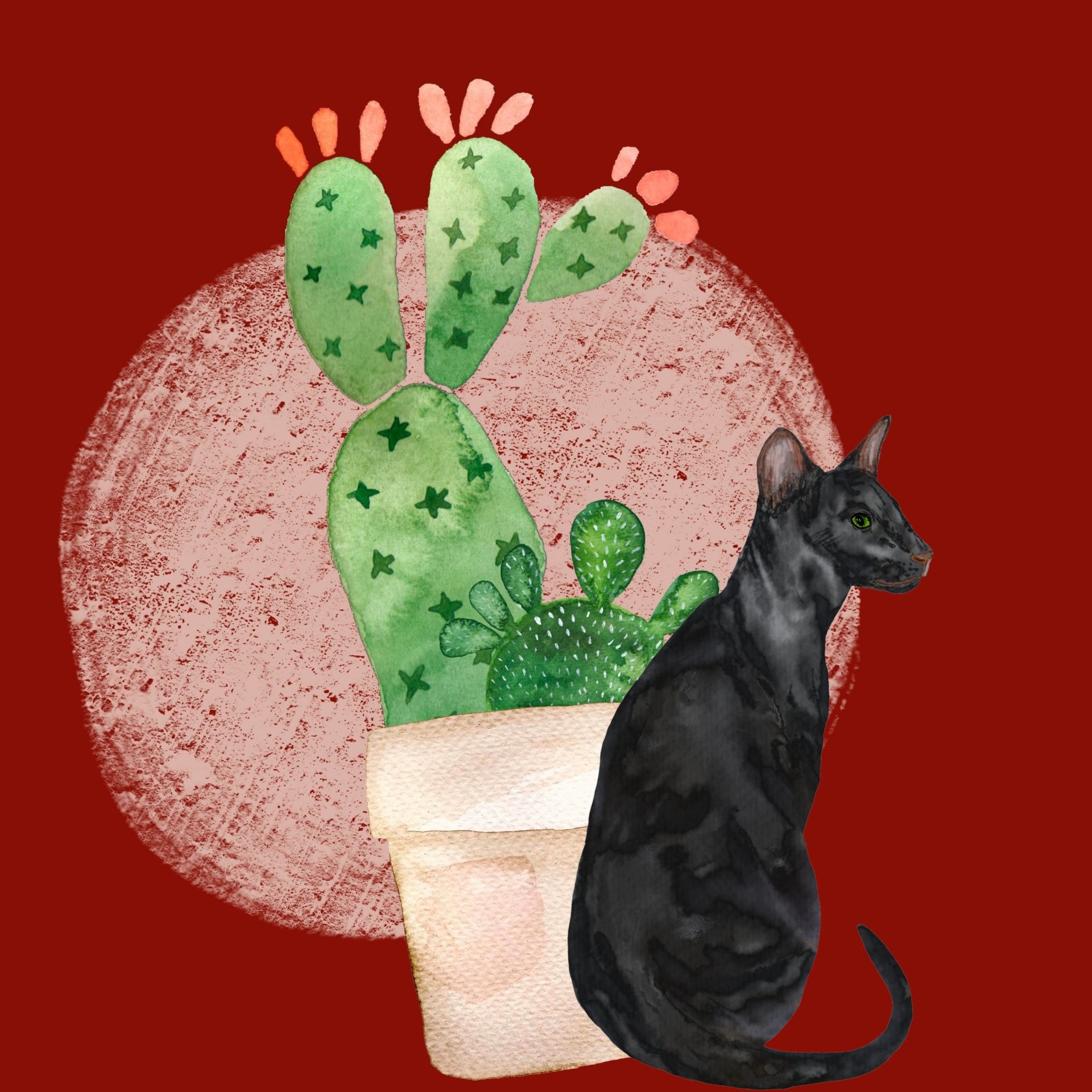 Ilustración de gato y cactus