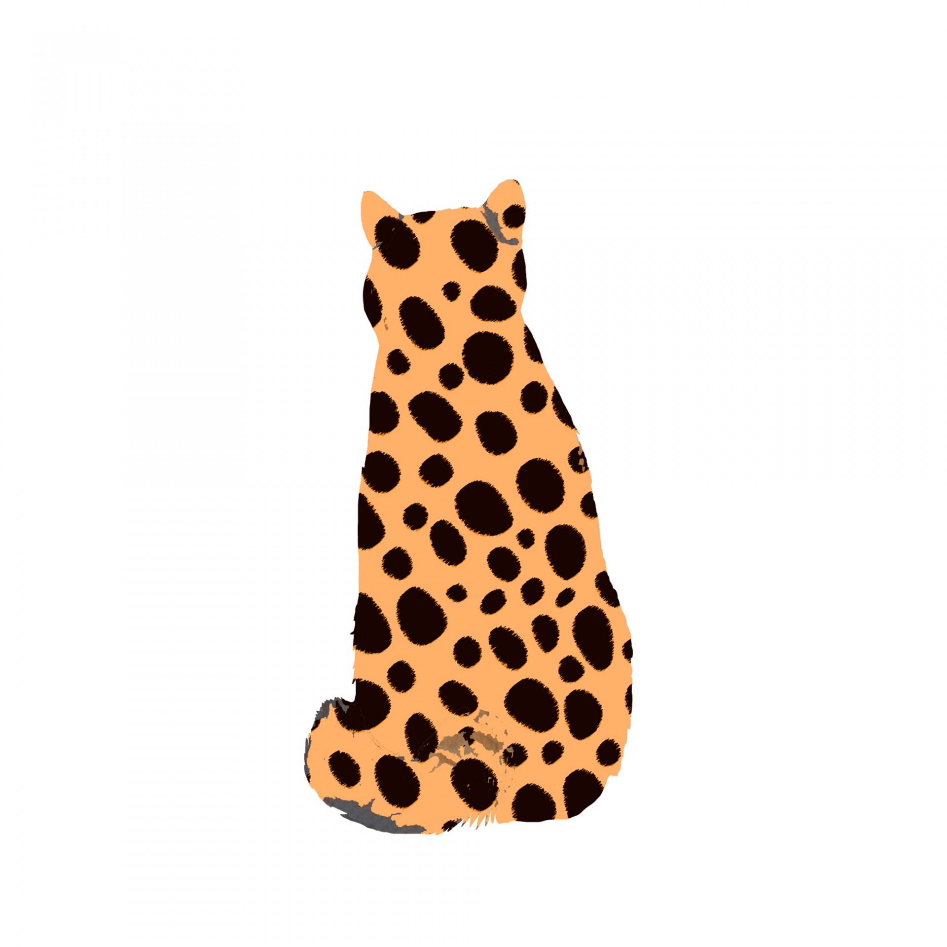 Gato leopardo