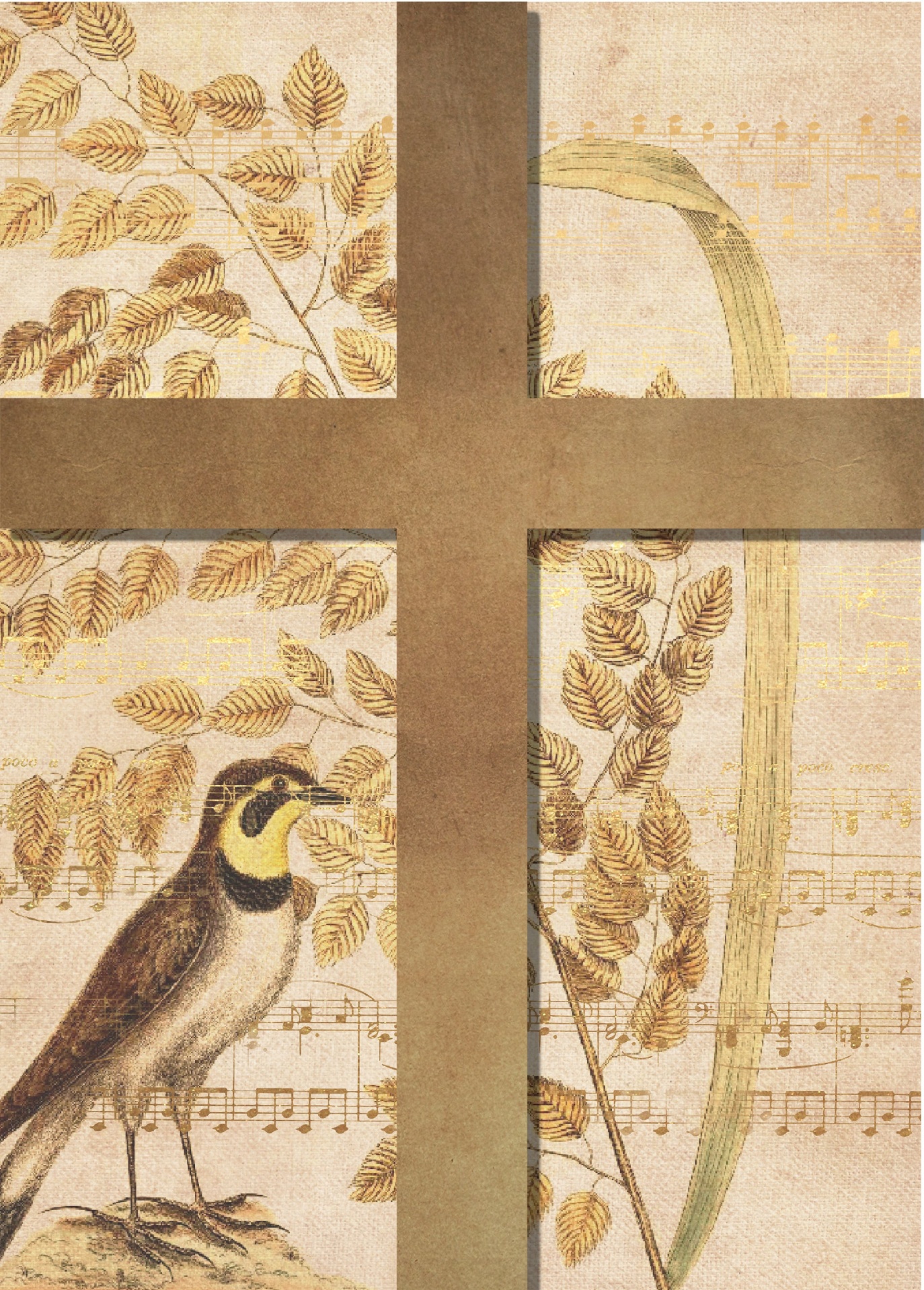 Arte cruzado de aves y música