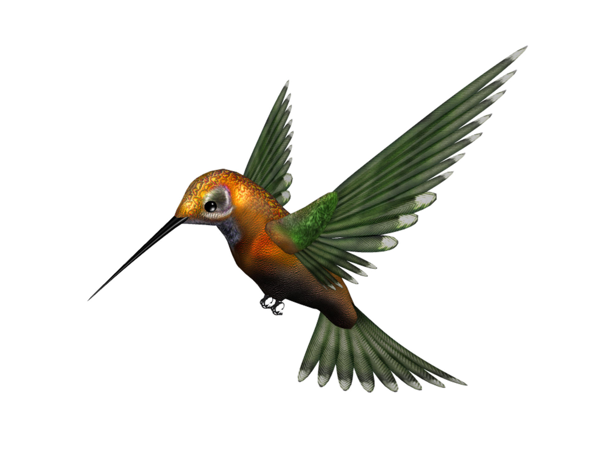 Arte vintage de pájaro colibrí
