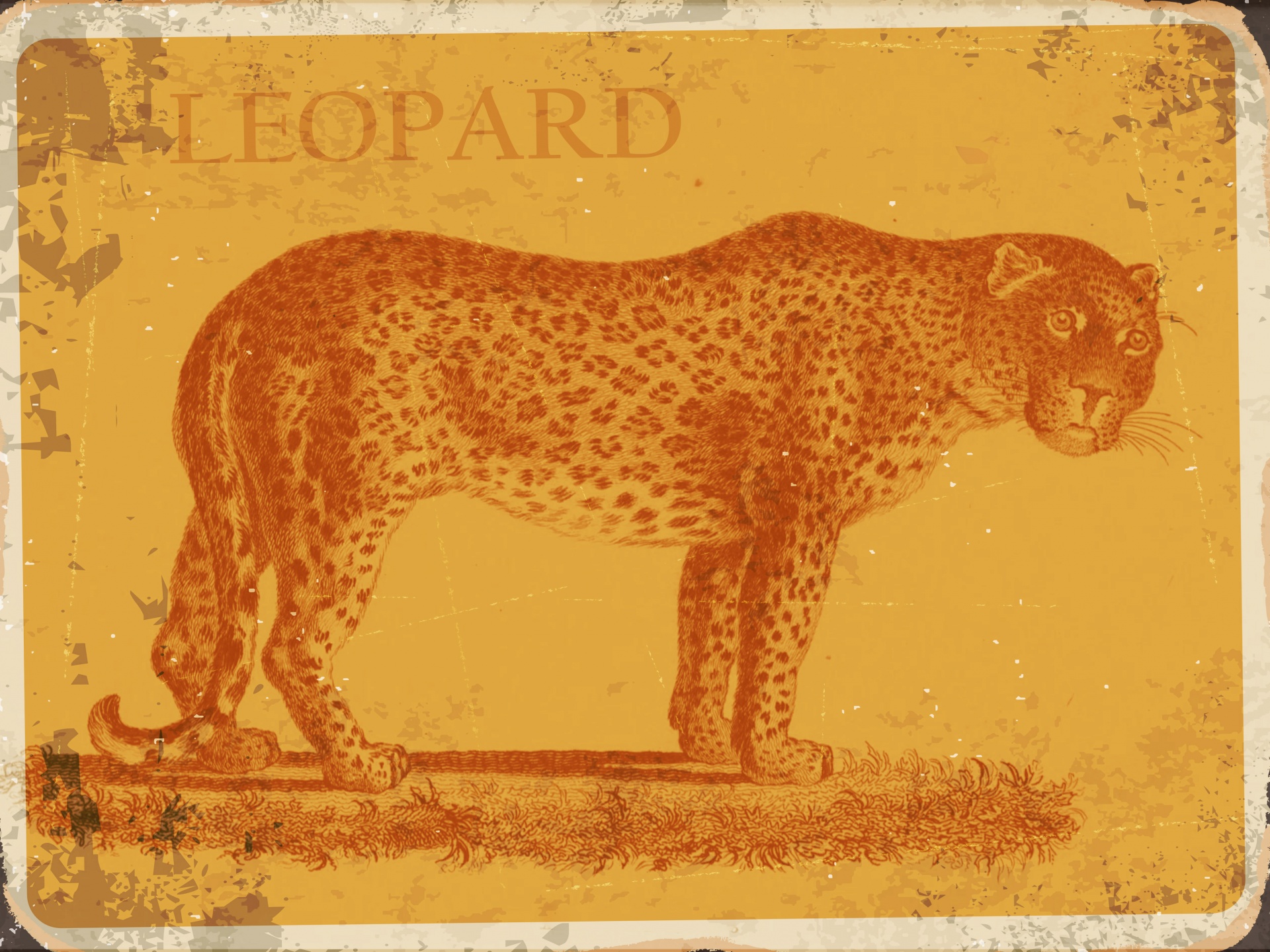 Cartel vintage leopardo