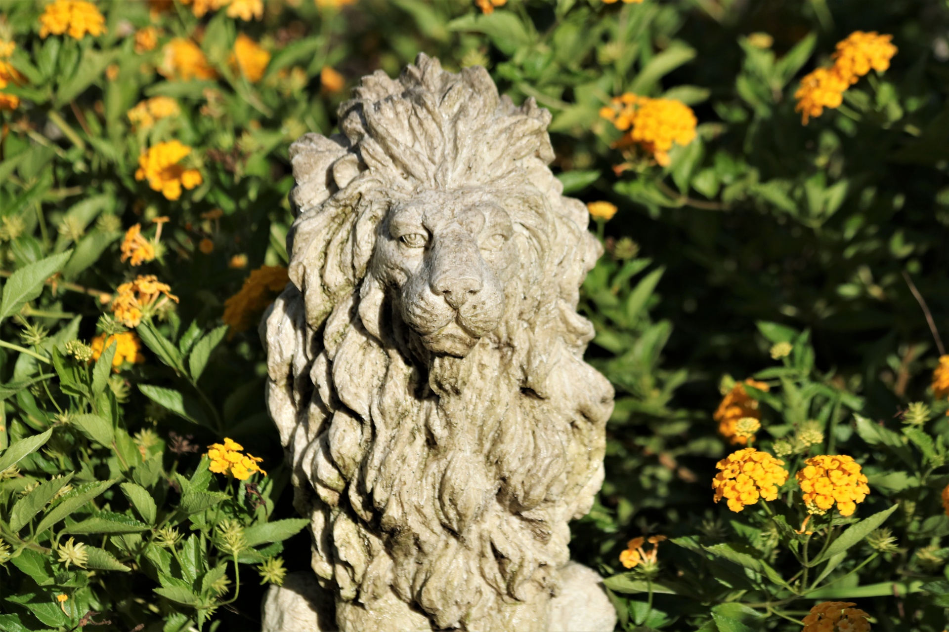 Lions Head Garden Statue