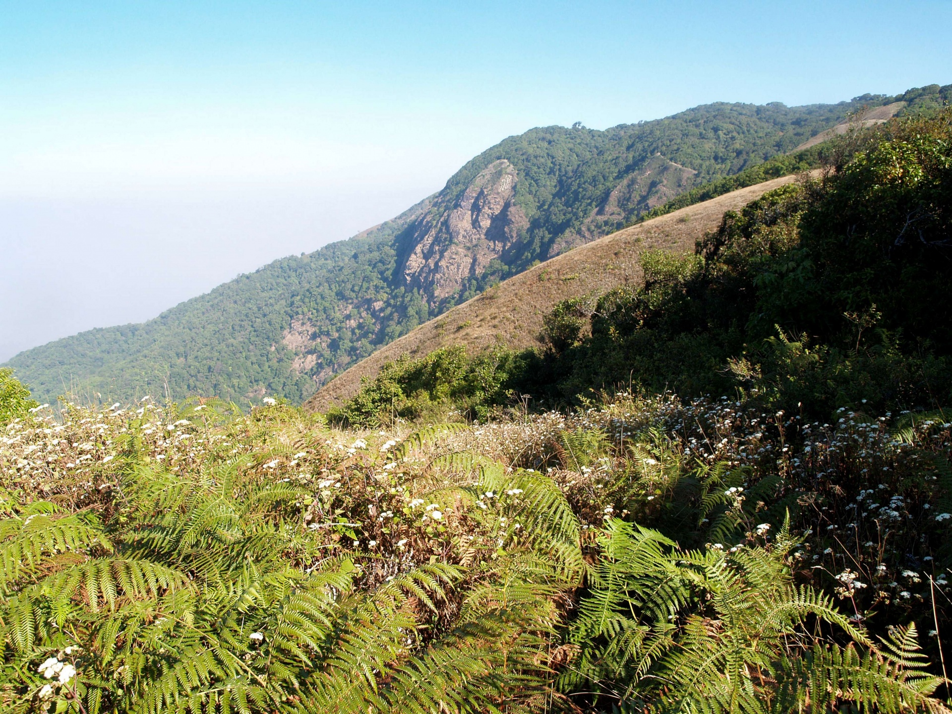 Berg, doi inthanon nationaal park