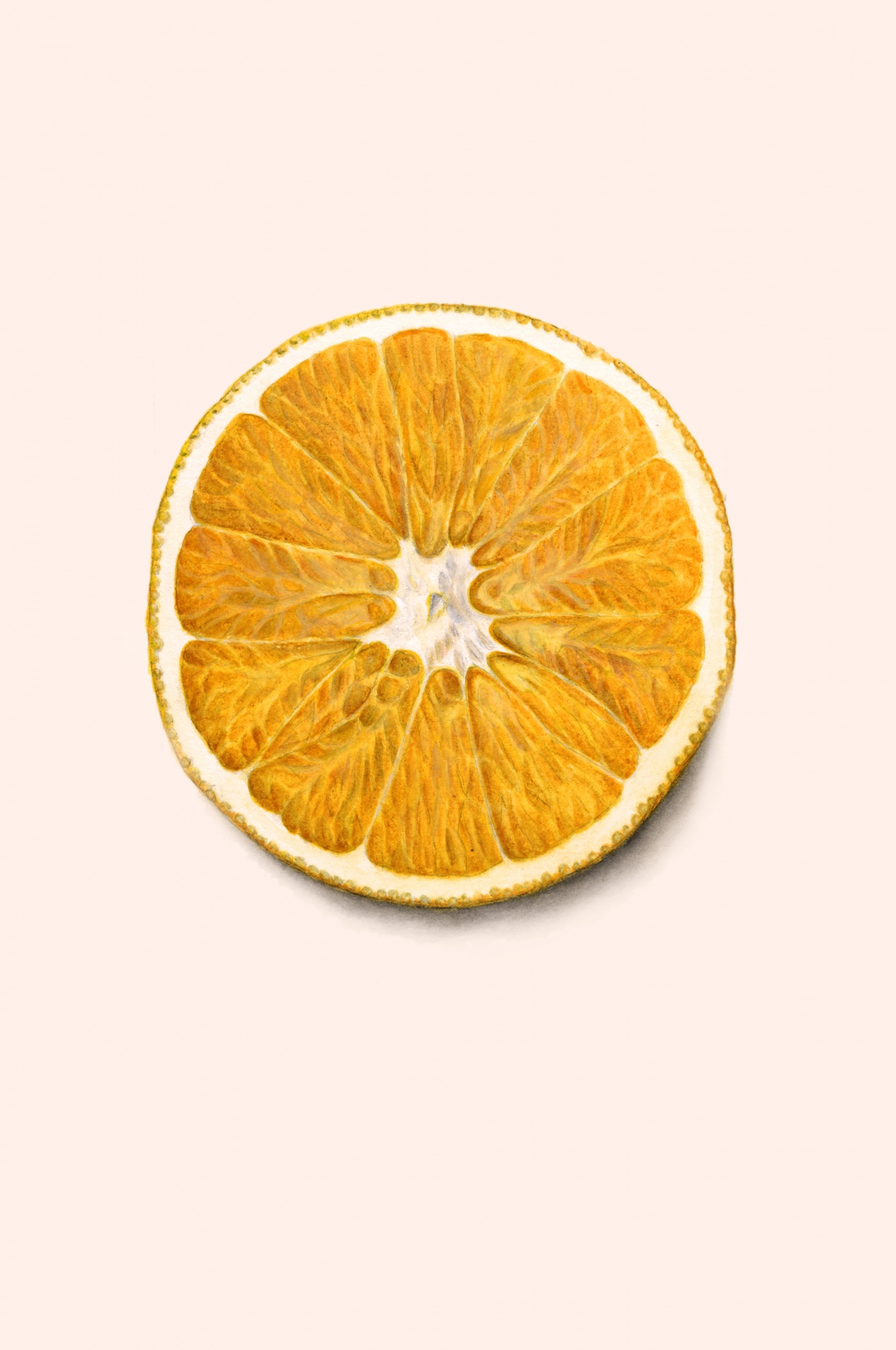 Oranje fruit fruit vintage