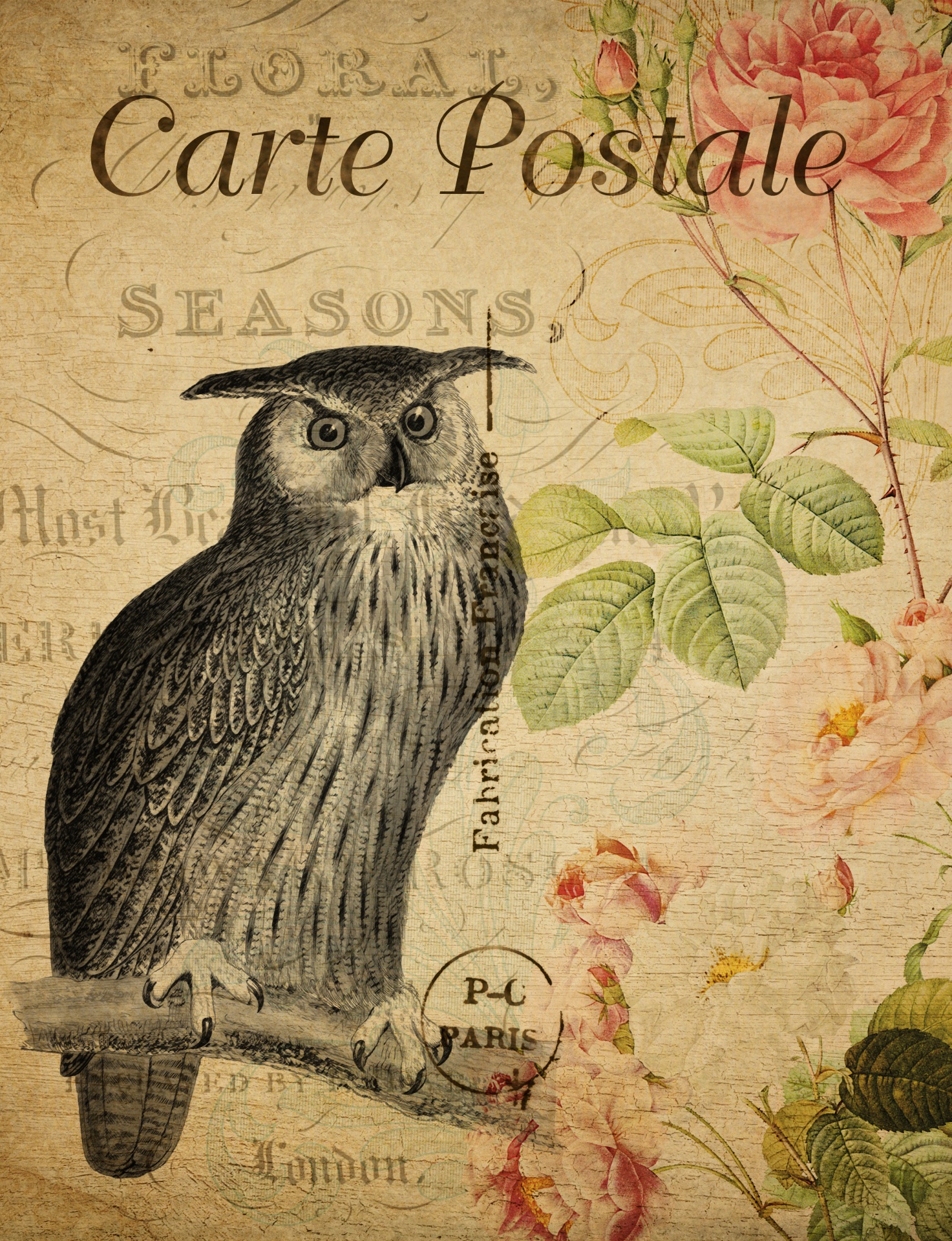 Owl Vintage Floral Postcard