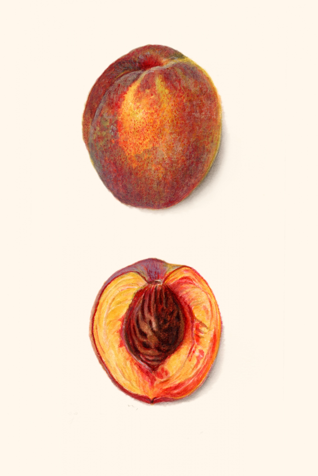 Peach Fruit Fruit Vintage