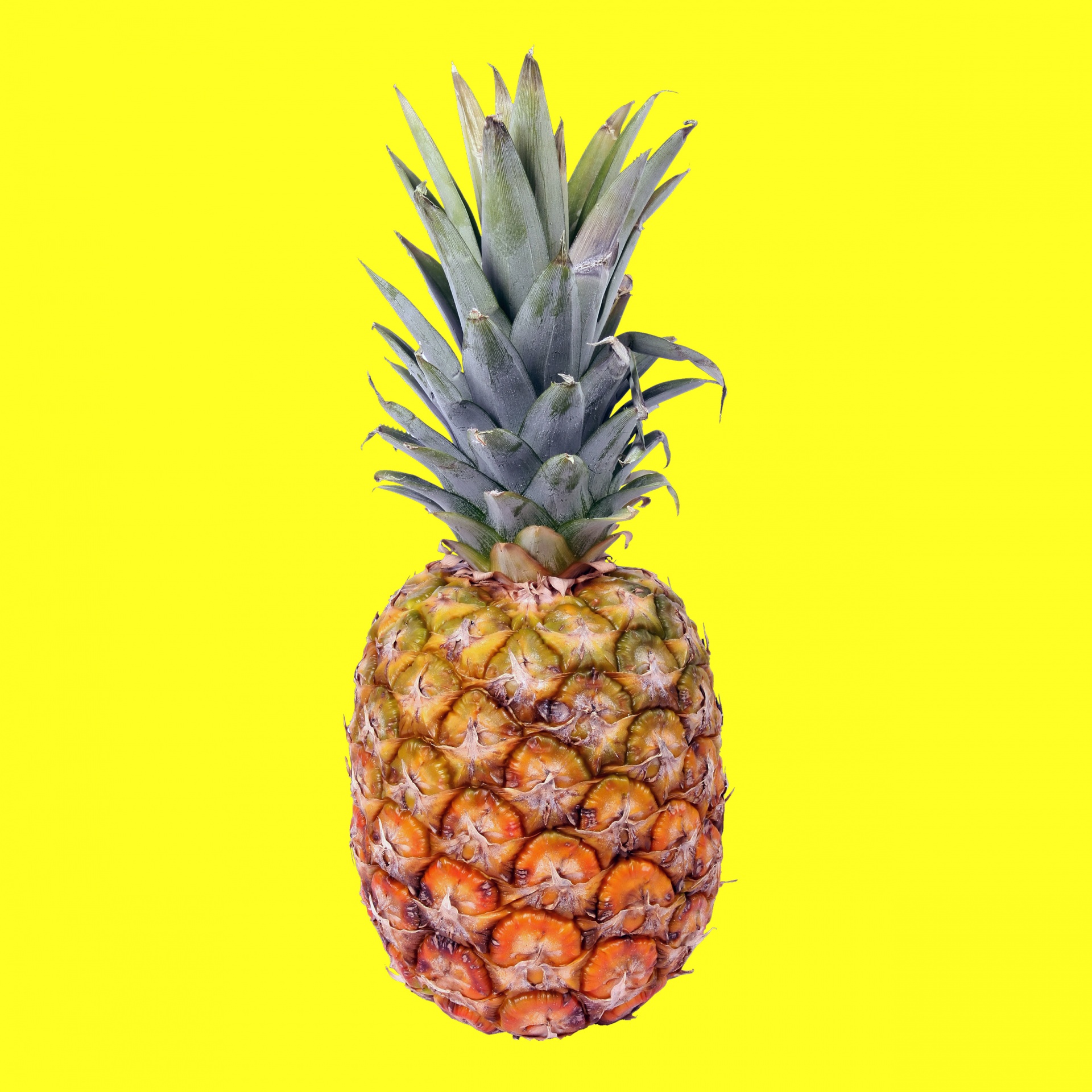 Ananas poster, print