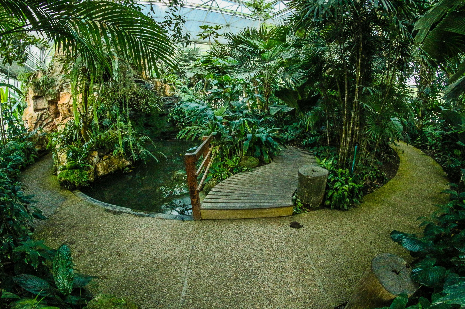 Queen Sirikit Botanic Garden