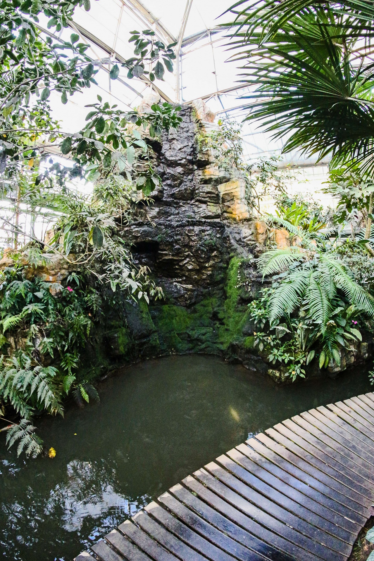 Jardín Botánico Reina Sirikit