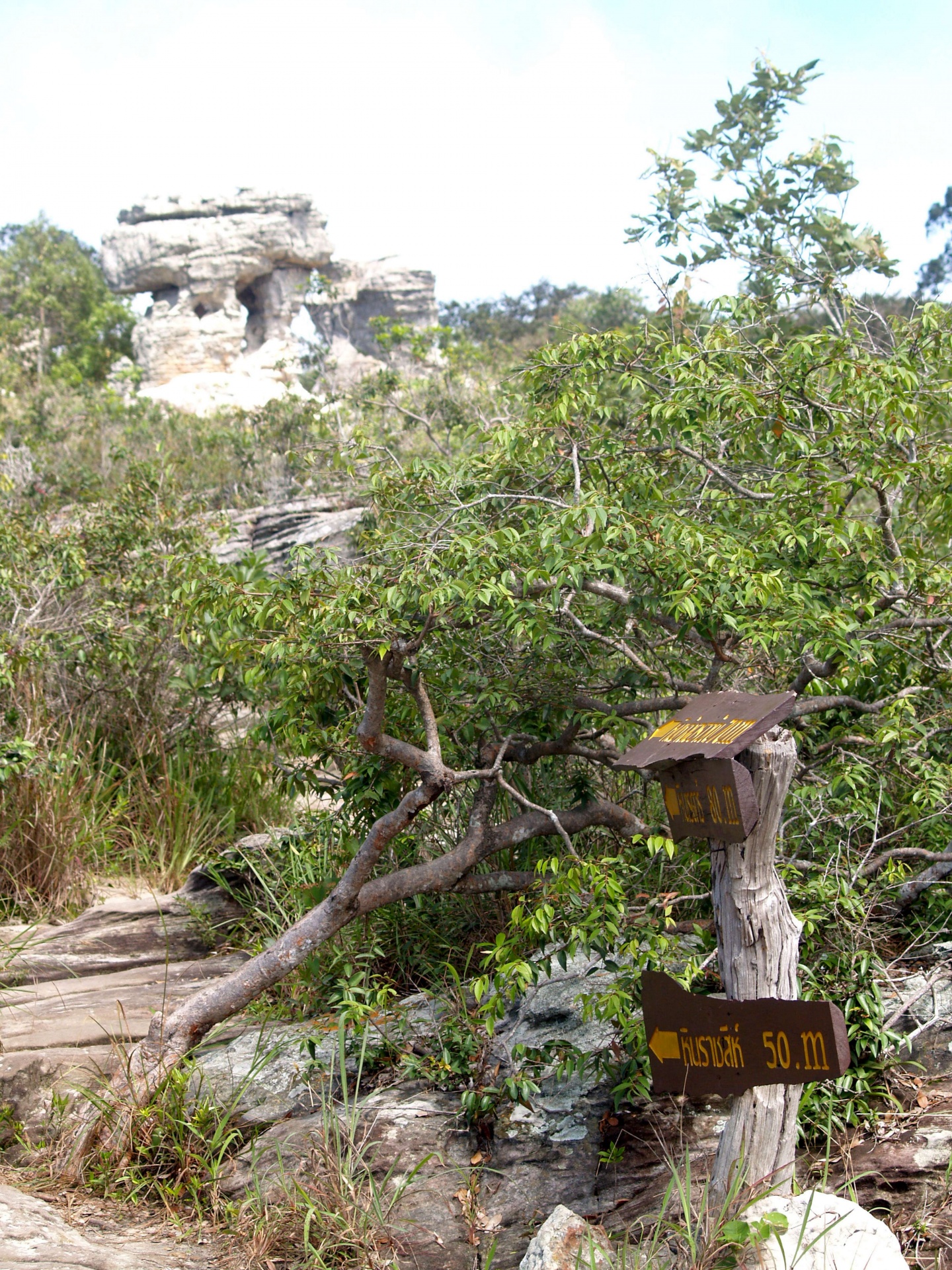 Rock en el Parque Nacional Pa Hin Ngam
