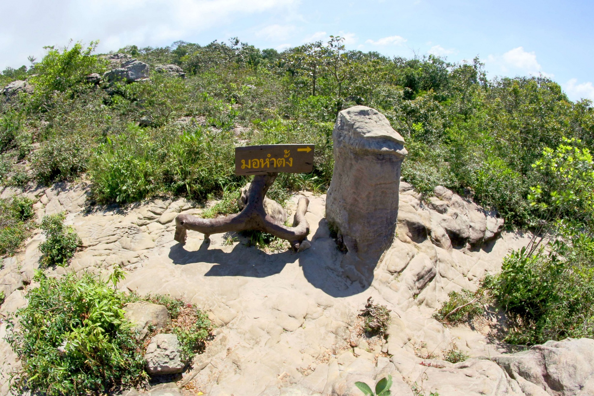 Rock in Pa Hin Ngam National Park
