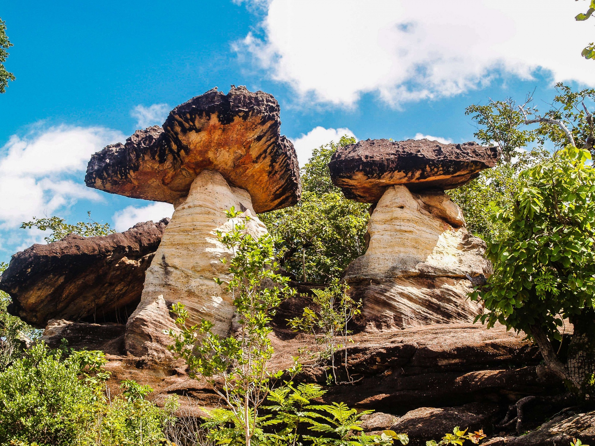 Sao Chaliang, rocas como hongos