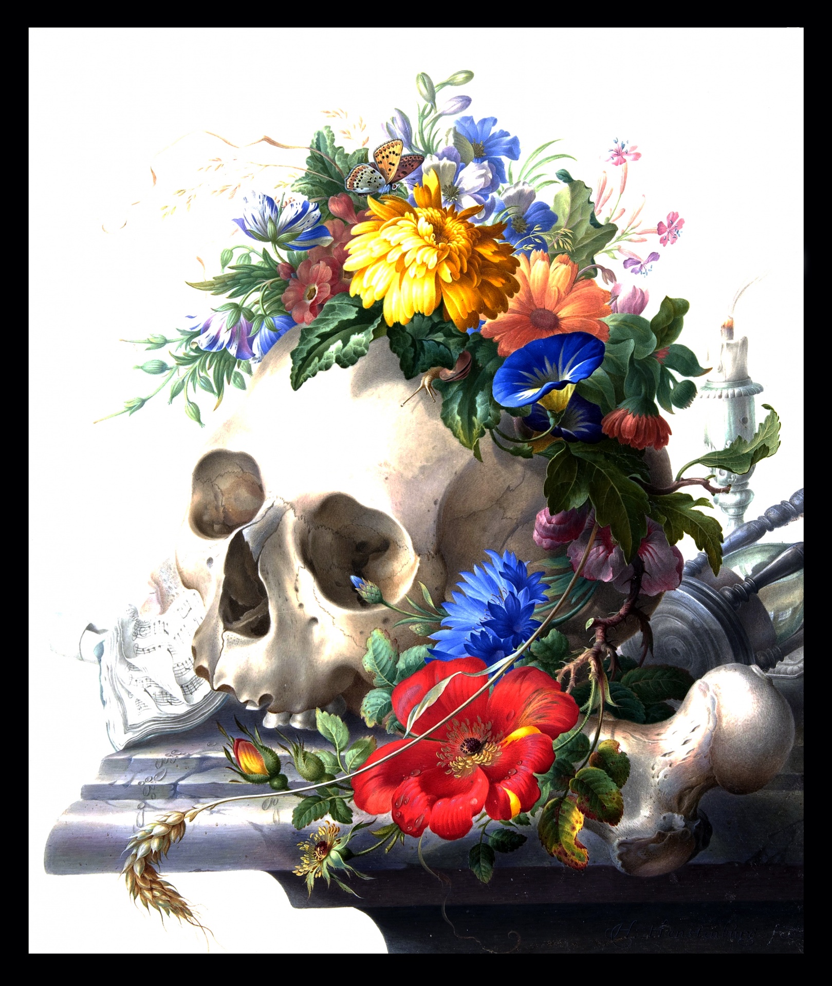 Skull, Flowers Still Life