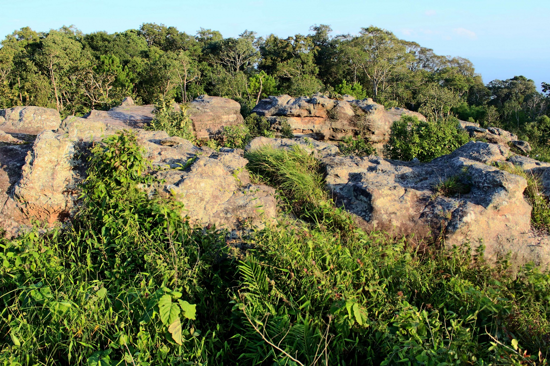 Steenlandschap op Phu Rua-berg