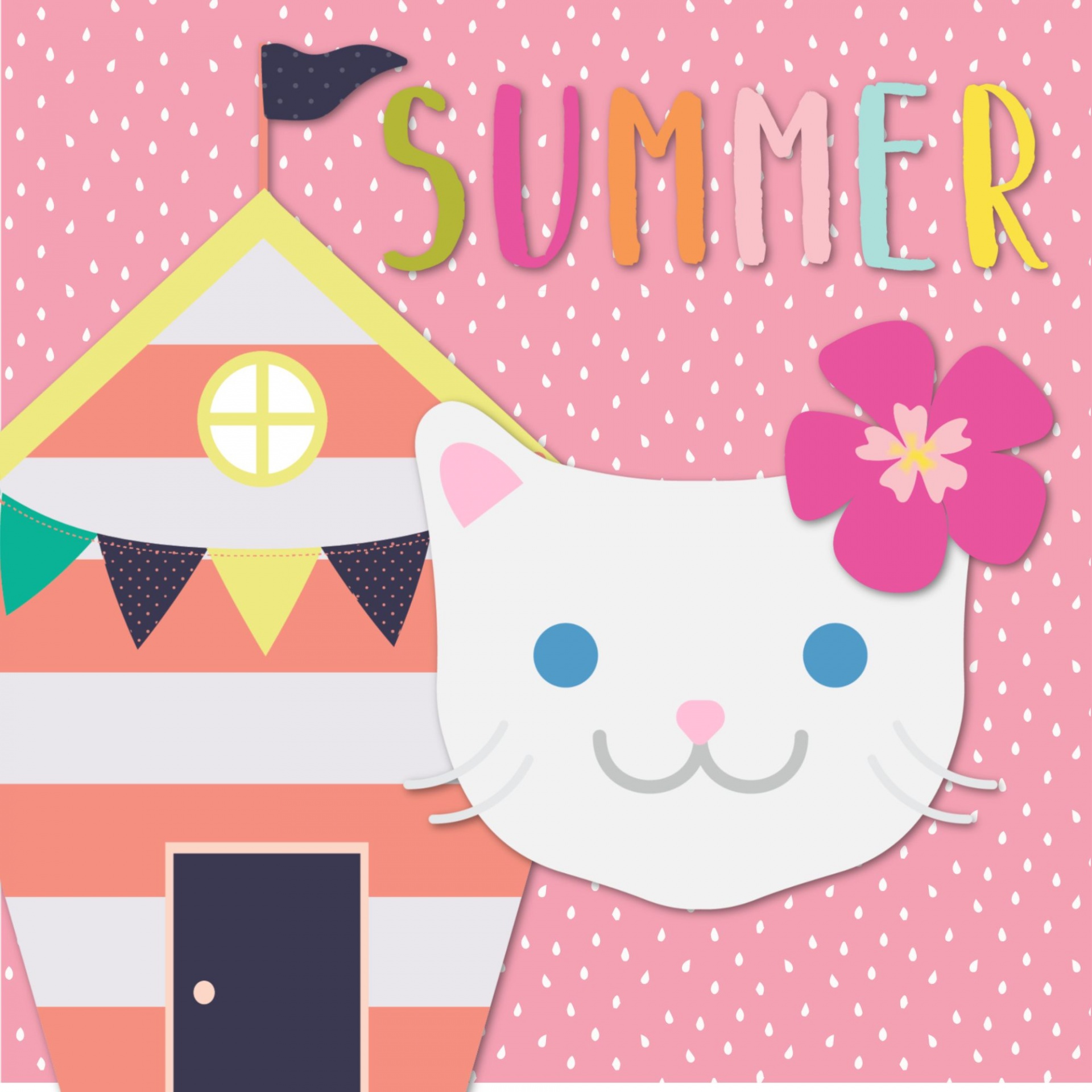 Summer Cat 2