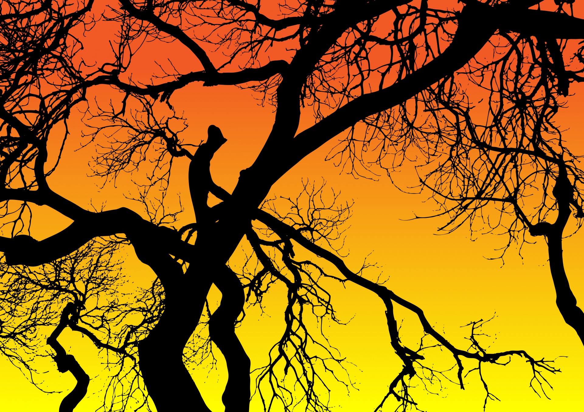 Tree At Sunset Silhouette