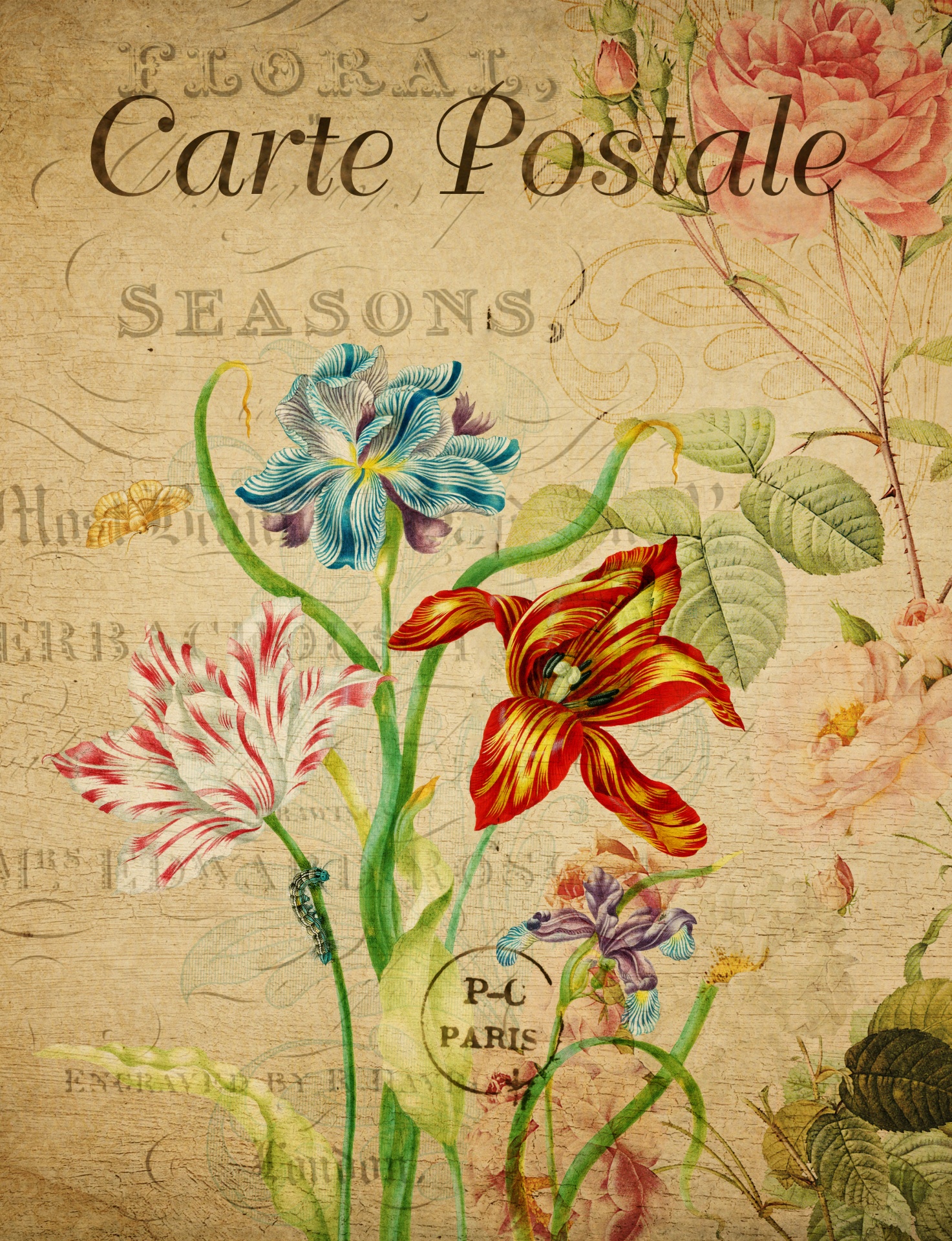 Het Vintage BloemenPrentbriefkaar van tu