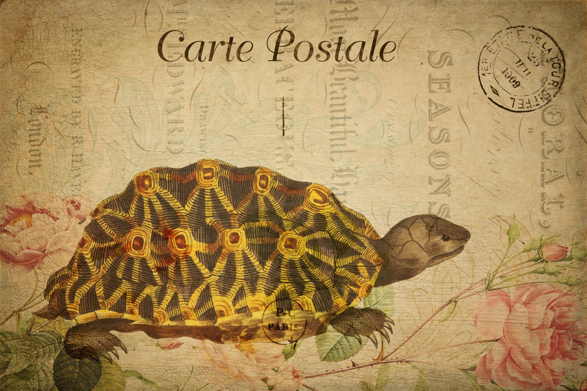 Postal floral vintage de tortuga