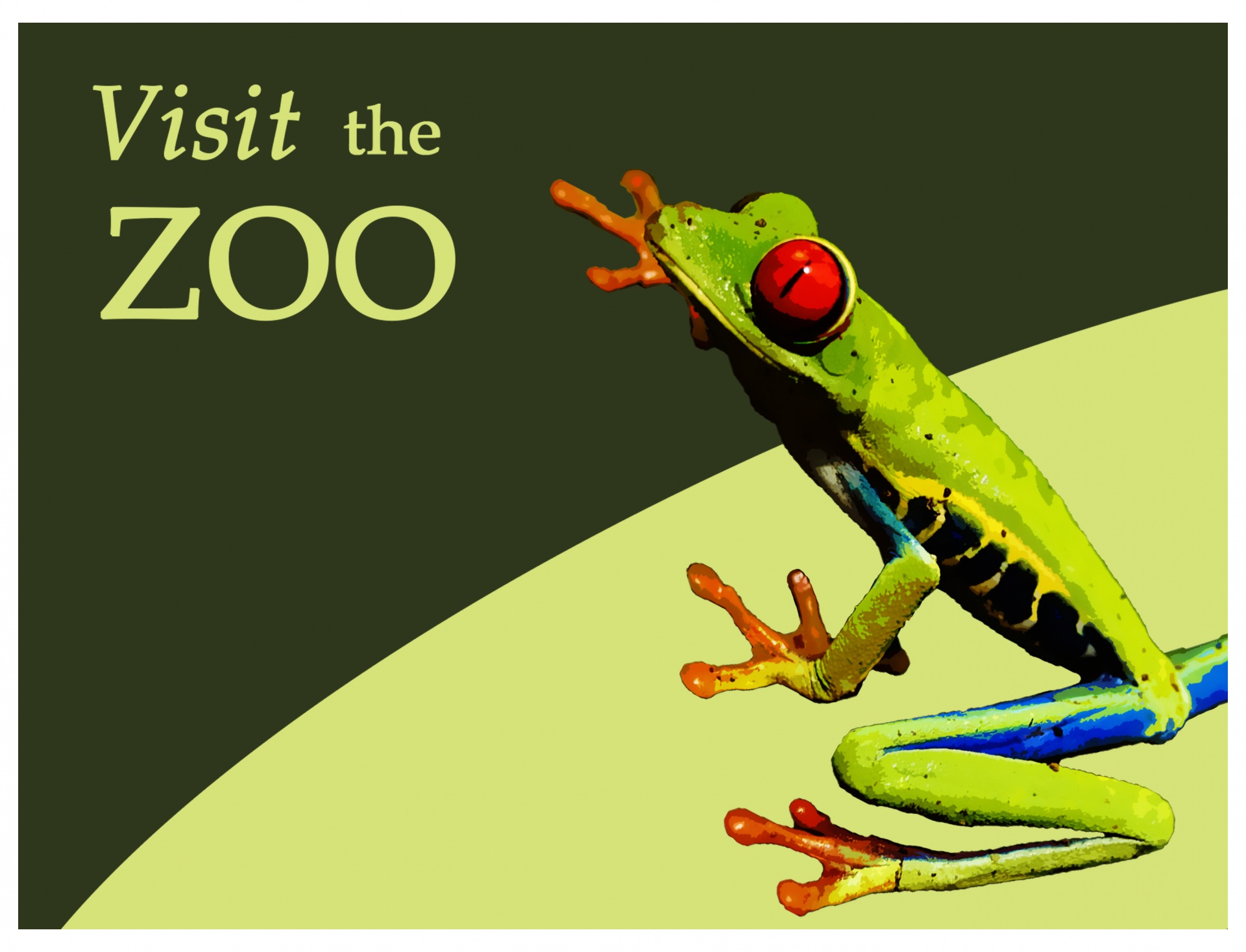 Bezoek de Zoo-poster