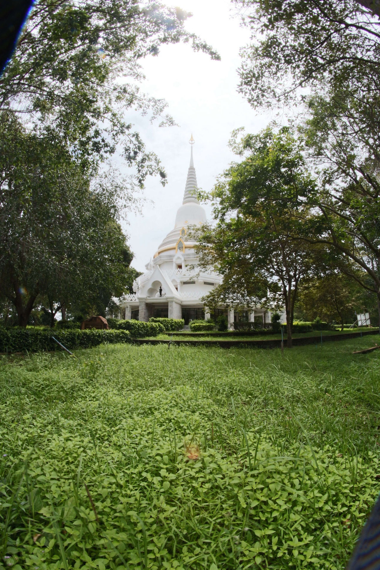 Wat Phra phut tha bat en Yasothon