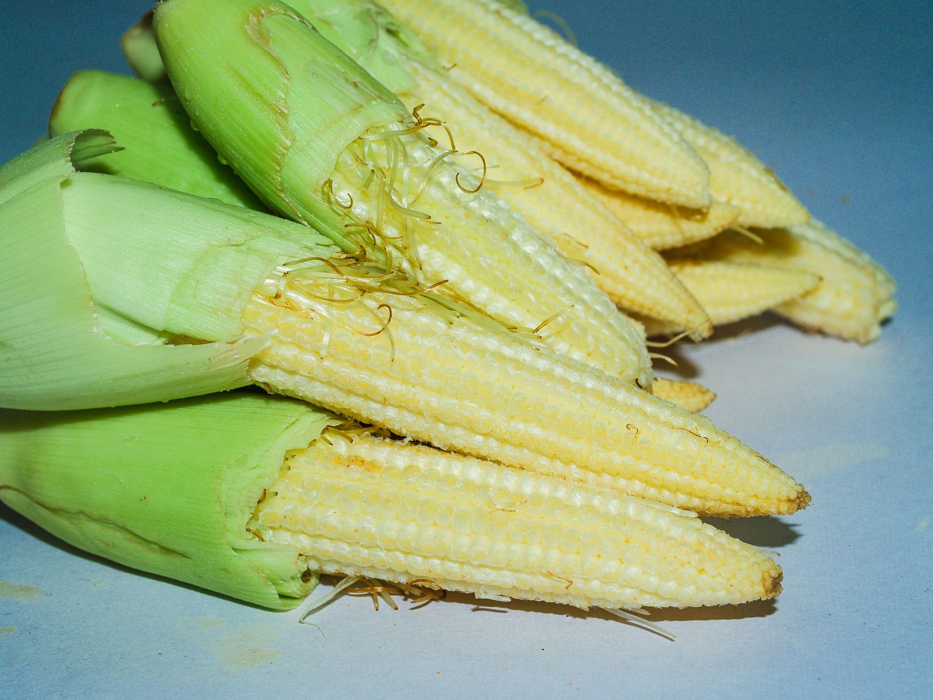 Young Small Corn Closeup