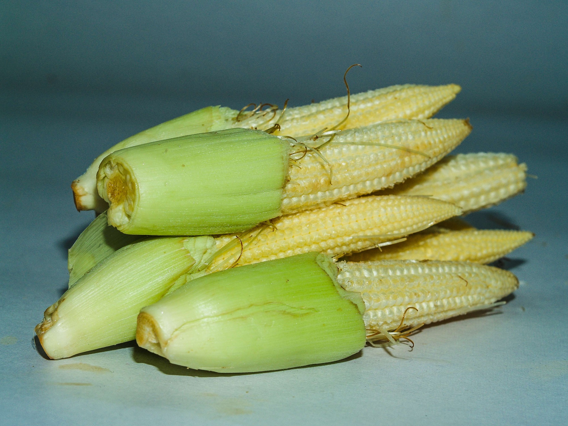 Primer pequeño maíz joven