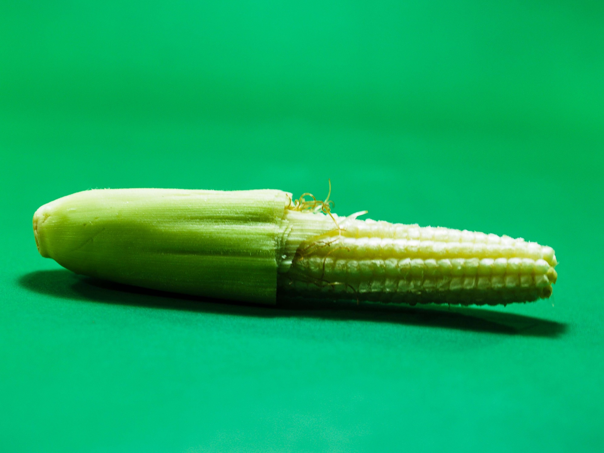 Young Small Corn Closeup
