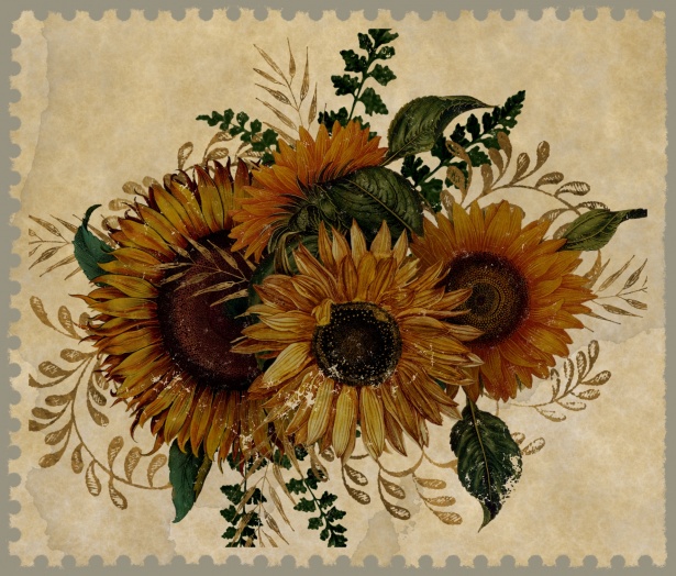 Vintage Sonnenblumenstempel Kostenloses Stock Bild - Public Domain Pictures