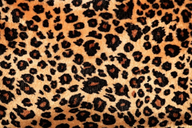 Brown Leopard Print Background