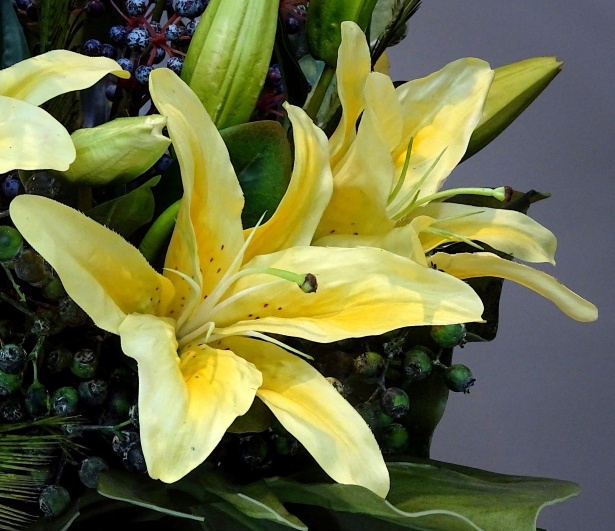 Yellow Lilies Free Stock Photo - Public Domain Pictures