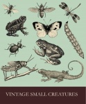 Obojživelníci a hmyz Vintage