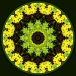 Mandala decorativă de toamnă