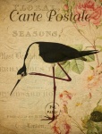 Carte postale française florale d'oi