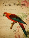 Postal floral francês de pássaro