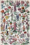 Květy květiny ilustrace vintage