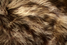 Textura de pele de animal fofa marrom