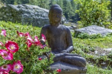 Buddha sitting