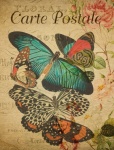 Винтажная цветочная открытка с бабочками