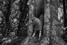 Dog, stone statue