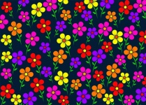 Motif floral de fleurs colorées