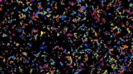 Konfettifärg på svart bakgrund