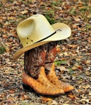 Sombrero de vaquero y botas en hojas
